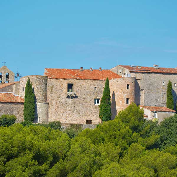 Bouteille de vin blanc de Bandol