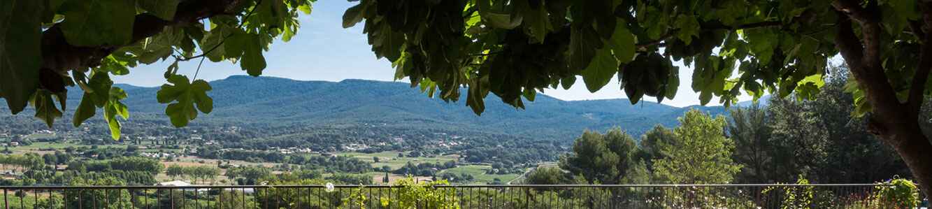 Séminaire dans un domaine à Bandol